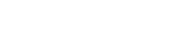 Flushmaster